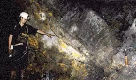 lucky 在线观看 无论您指的是哪一部海报