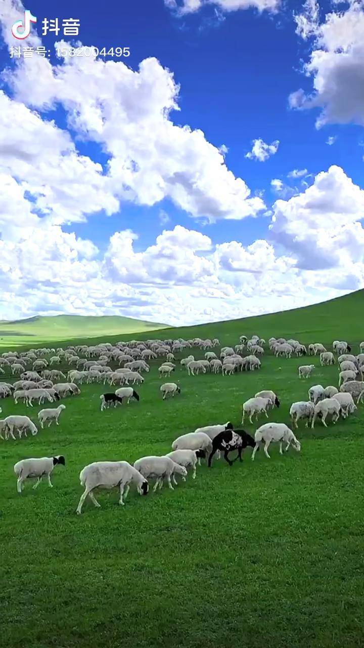 好男人官网资源在线观看 视频资源是好男重头戏海报