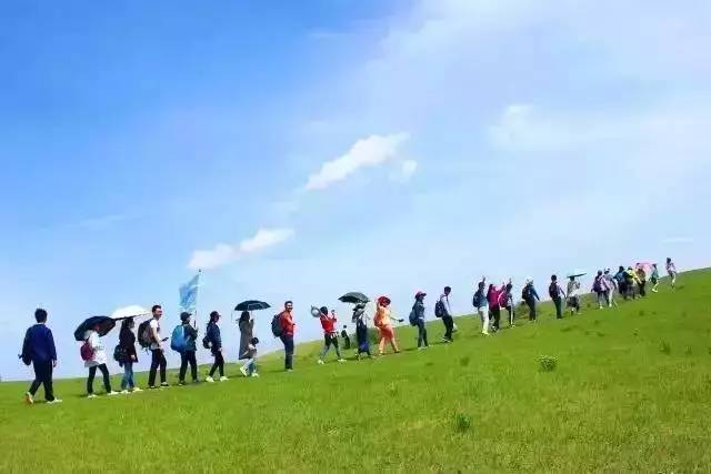 寸11止 如果是寸止以下情况海报