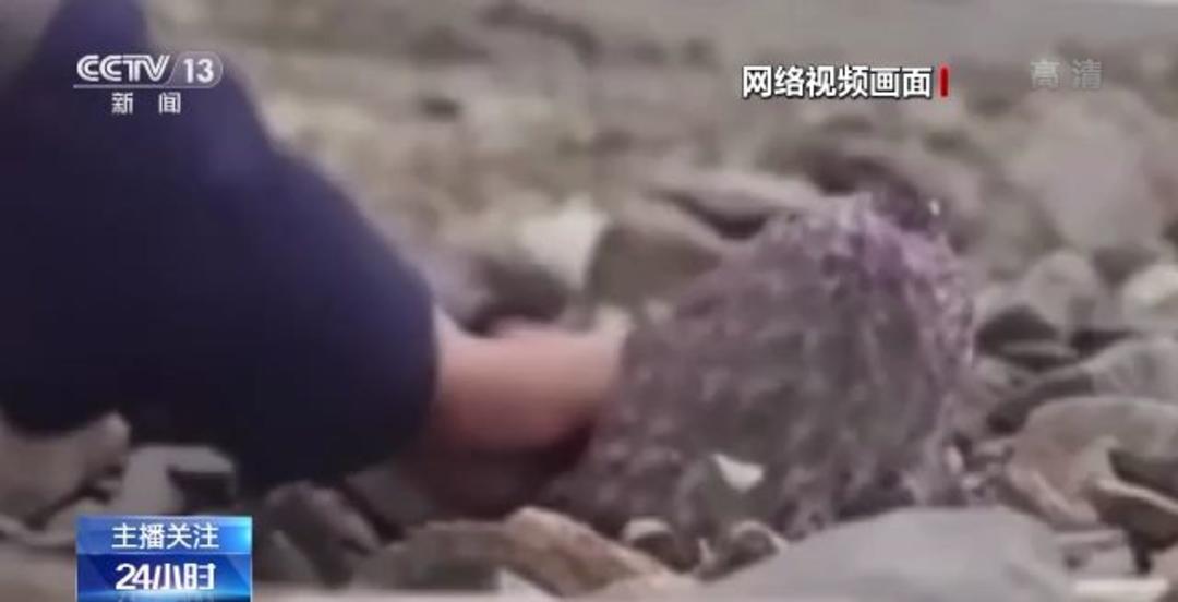 超甜惩戒文 超甜惩戒林柚终于侧过头