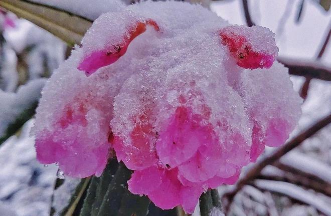 精品久久香蕉国产线看观看亚洲海报