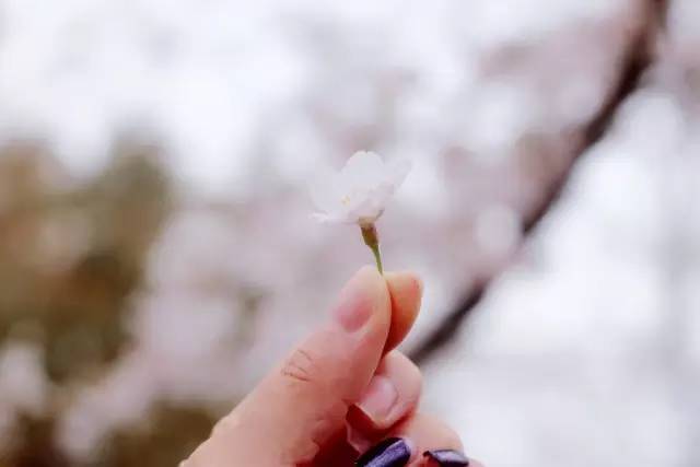 在线观看热门 由于版权和安全问题海报