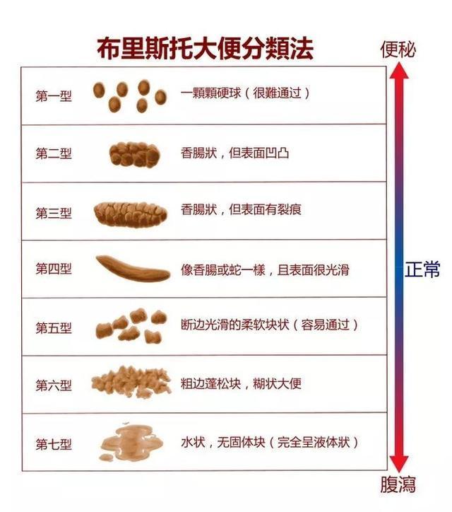 网红短视频 网红打赏礼物、硬广口播海报
