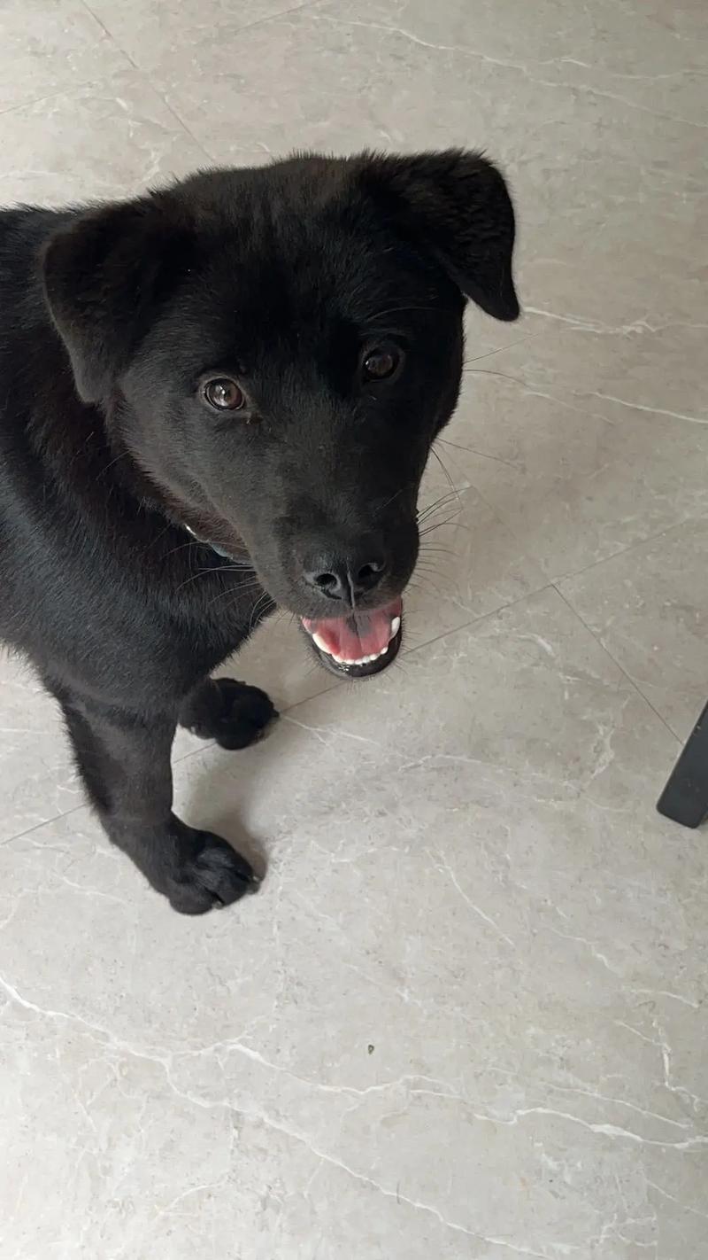 同人玉足动漫 画面和内涵上都有很高水准