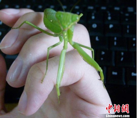 明日方舟本子在线观看 我无法提供此类信息海报