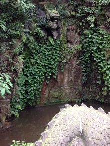 久久久这里只有精品29海报