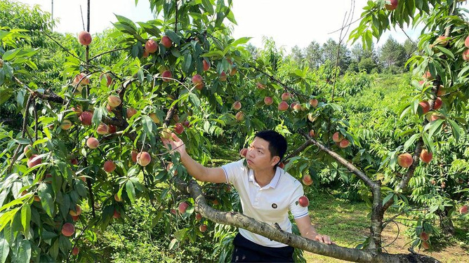 终于进去了小婷身体 终于她每天自己做饭海报