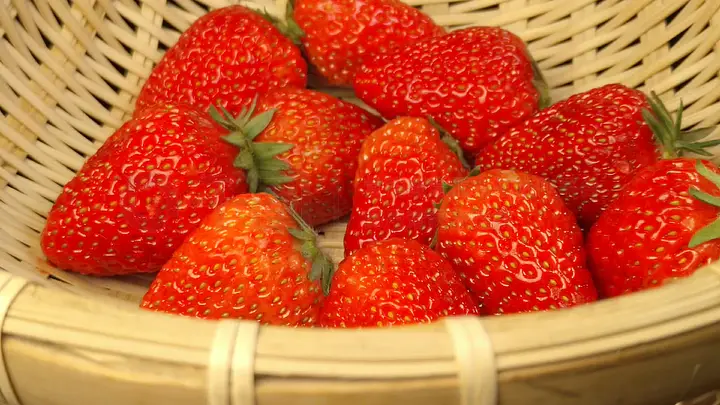 男男腐漫 男男腐漫避免刻板印象