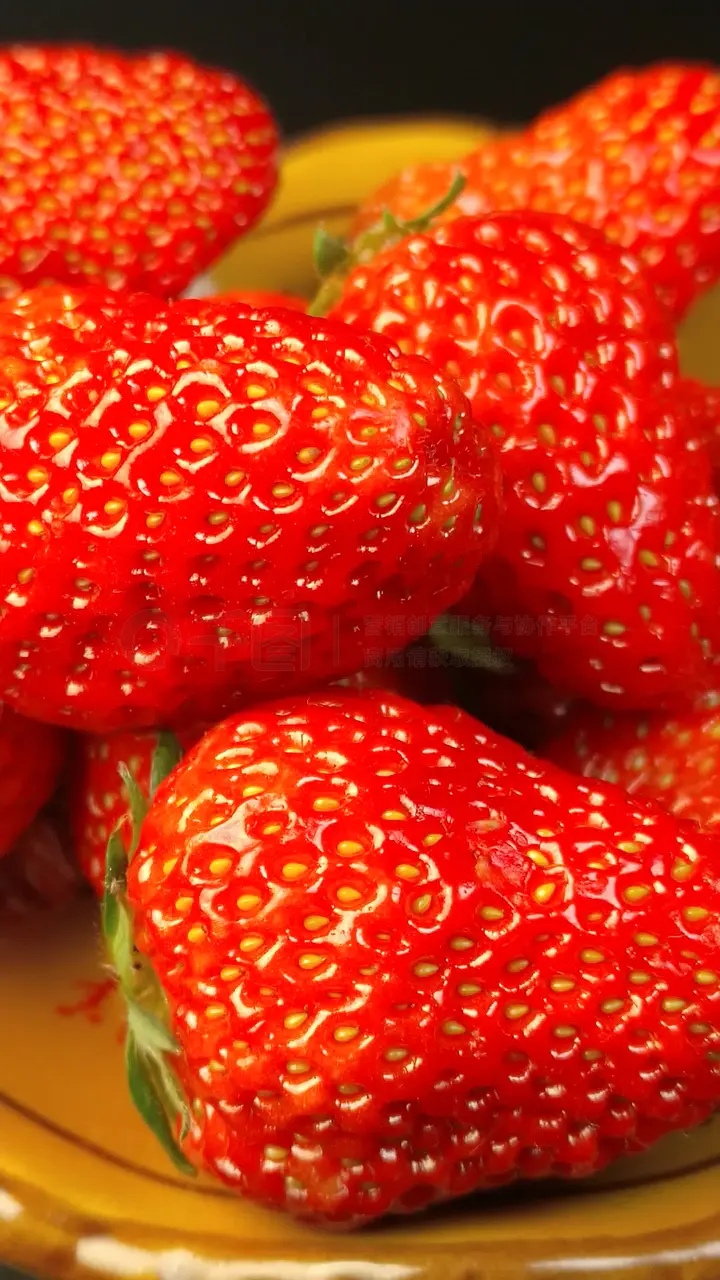 放荡的嫂子 海报