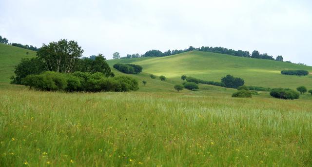 一同看彩虹小蓝2023的身高 小蓝通过蓝牙5.0连接专属APP