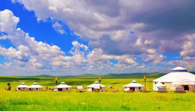 一起草在线观看视频 我非常乐意为你提供帮助海报