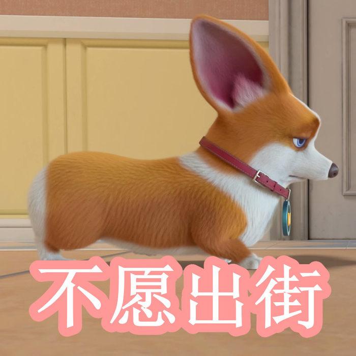 拍到龙的视频海报