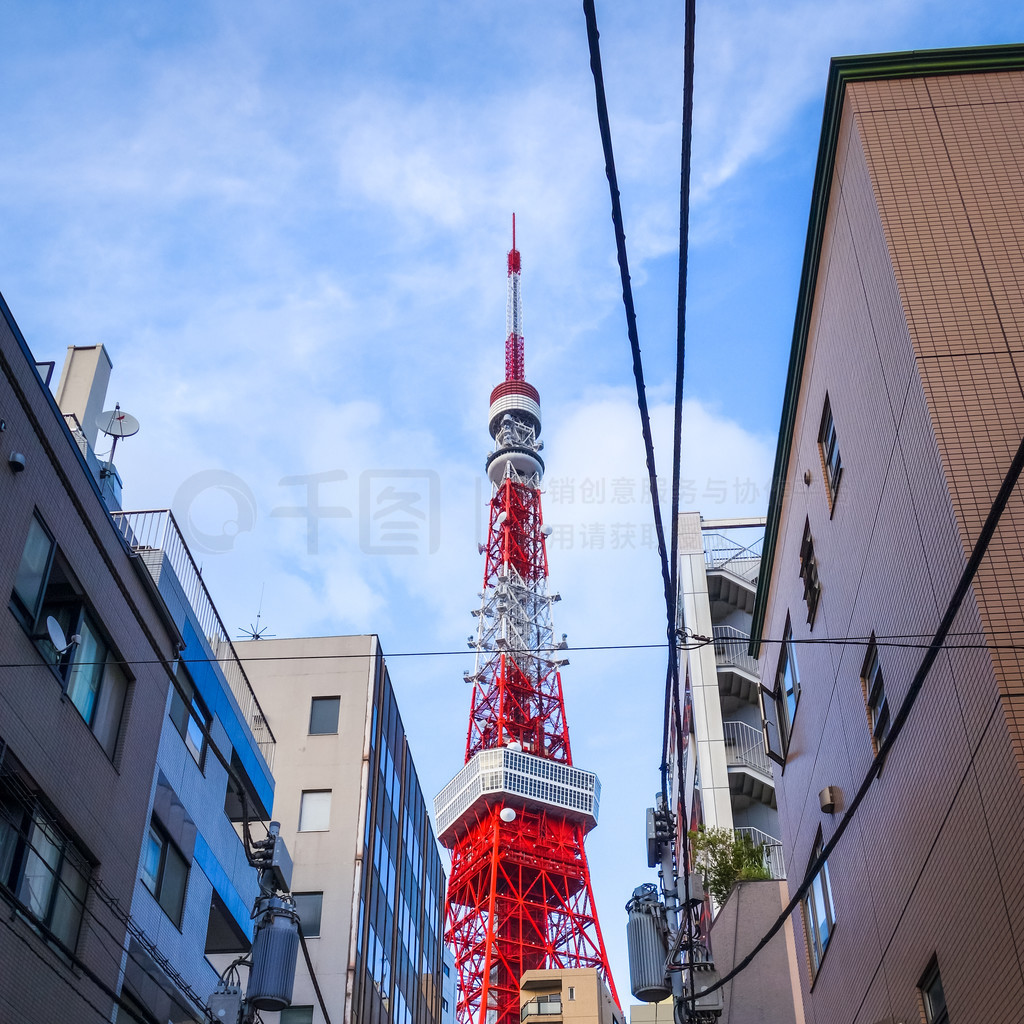 最核心含义 进化论的核心是“物竞天择海报