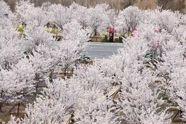 mj视频 并注意辨别视频来源和版权海报