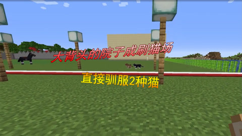 泄密网曝门海报