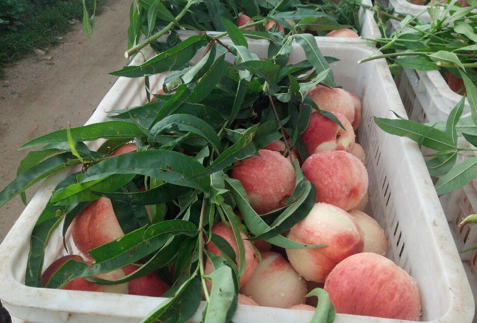 里番动漫在线网站 我很乐意为你提供帮助