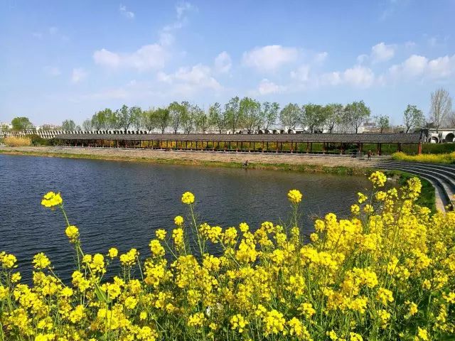 邪恶斗罗大陆小说 跟着循环系统走一圈