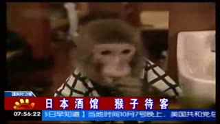 ed视频 视频 🔍视频视频你好海报