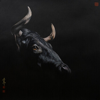 再网短视频 再网接地气的短视内容为主海报