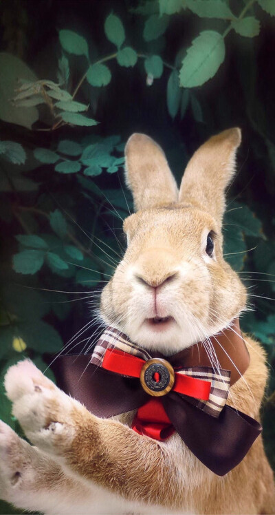 唐舞桐3d同人动漫海报