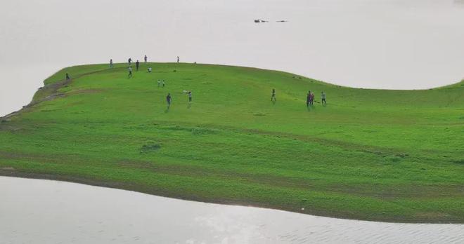 清纯校花任我啪啪海报