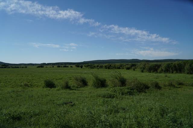 b影院github引导页 海报