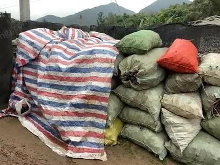 91热久久免费频精品欧洲 海报