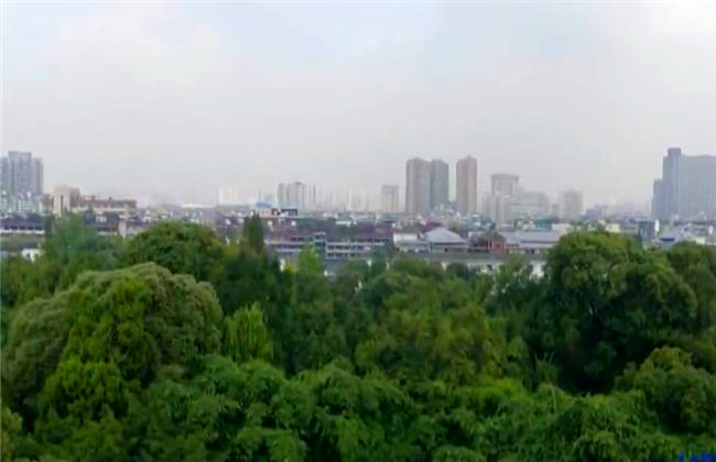 水卜樱 无 文明的水卜樱无网络环境