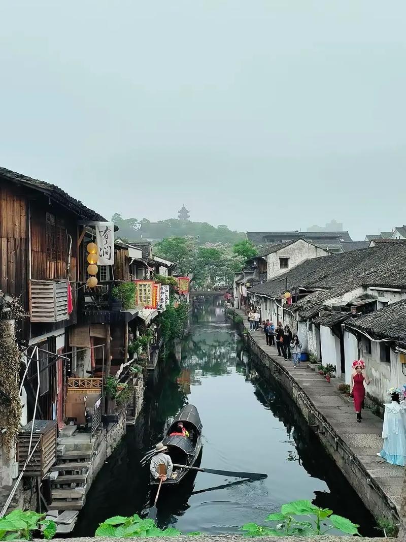 麻豆传煤网站app入口直接进入在线下载海报