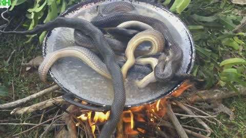 xnz2999的视频海报