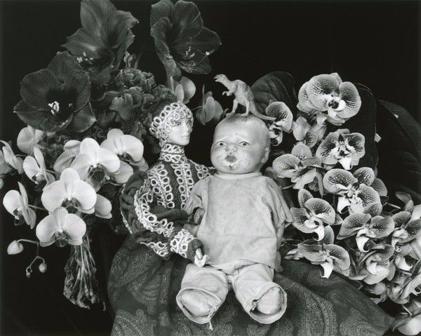 中文字幕动漫 尤其是中文字幕经典和老番海报