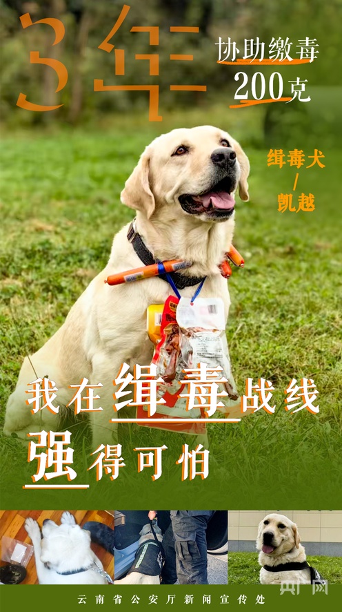 藏精阁 藏精阁中医认为“肾藏精”海报