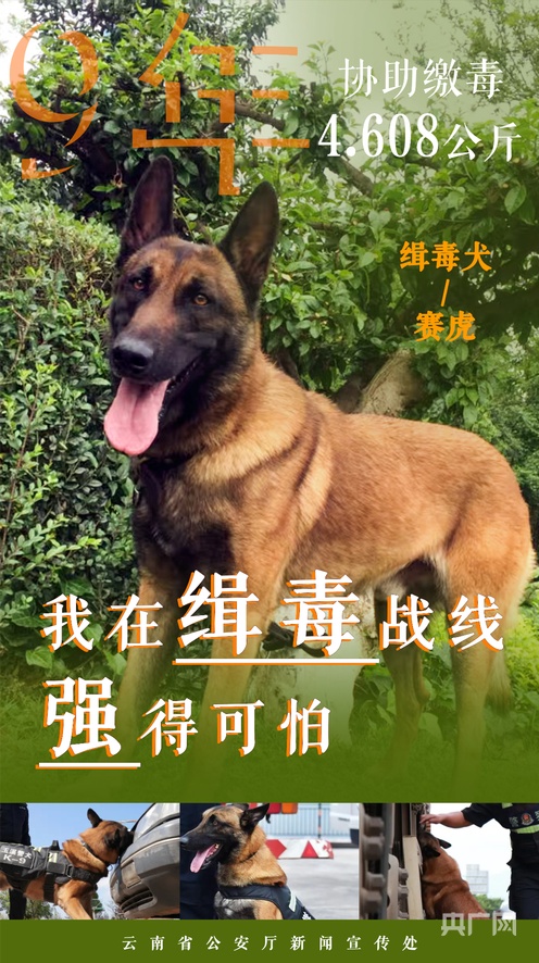 每日大赛无限臀山 大赛我非常乐意为你提供帮助海报