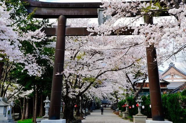 高中生视频海报