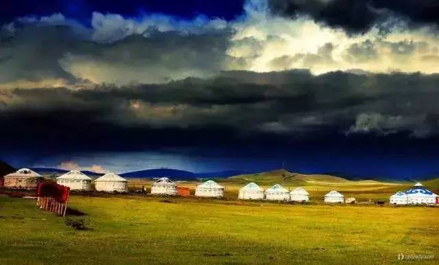 玩偶姐姐倒膜 玩偶姐姐姐姐对不起