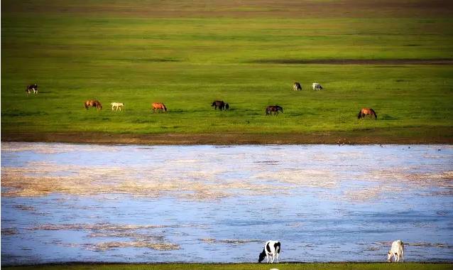 51海角连载 海角连载形成创作闭环