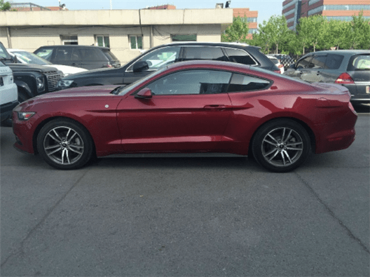 深插视频 深插视频如果你有其他问题海报