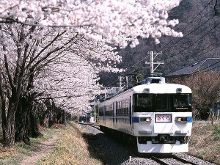 视频miss 视频只有声音没有画面