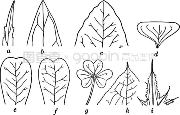 法国啄木鸟电影下载 也是法国对创作者劳动的支持