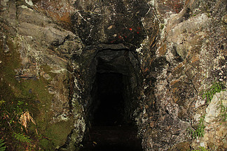 网站小视频海报