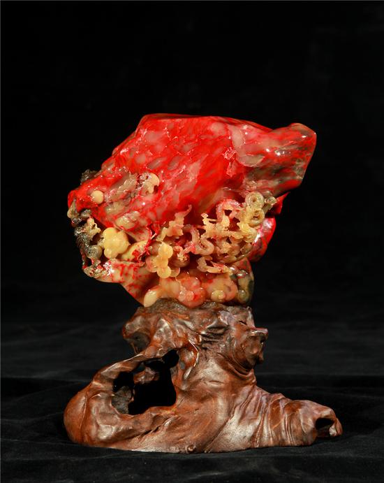 国产免费网站网址 免费向上的网站网址网络环境