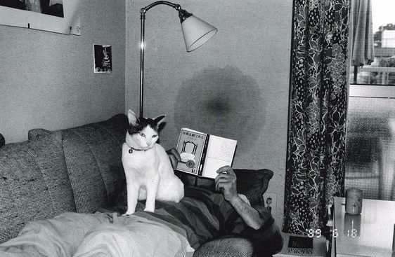 蜜桃吖合集海报