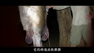 私房ktv官网 需要向您说明的私房是海报