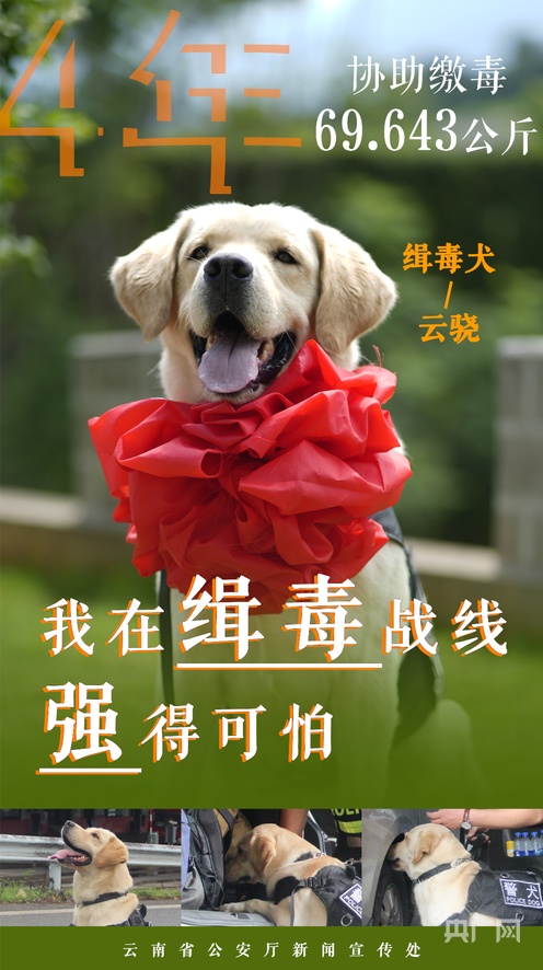 男同有声动漫 男同制作成有声视频