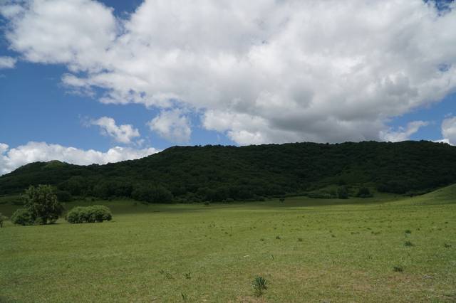 一道本一区二区三区 具体含义需结合上下文判断