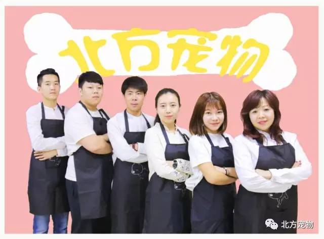 日本视频在线观看海报