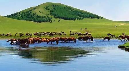 苏州柒彩医疗用品有限公司 招标 苏州可搜索公司全称查询海报