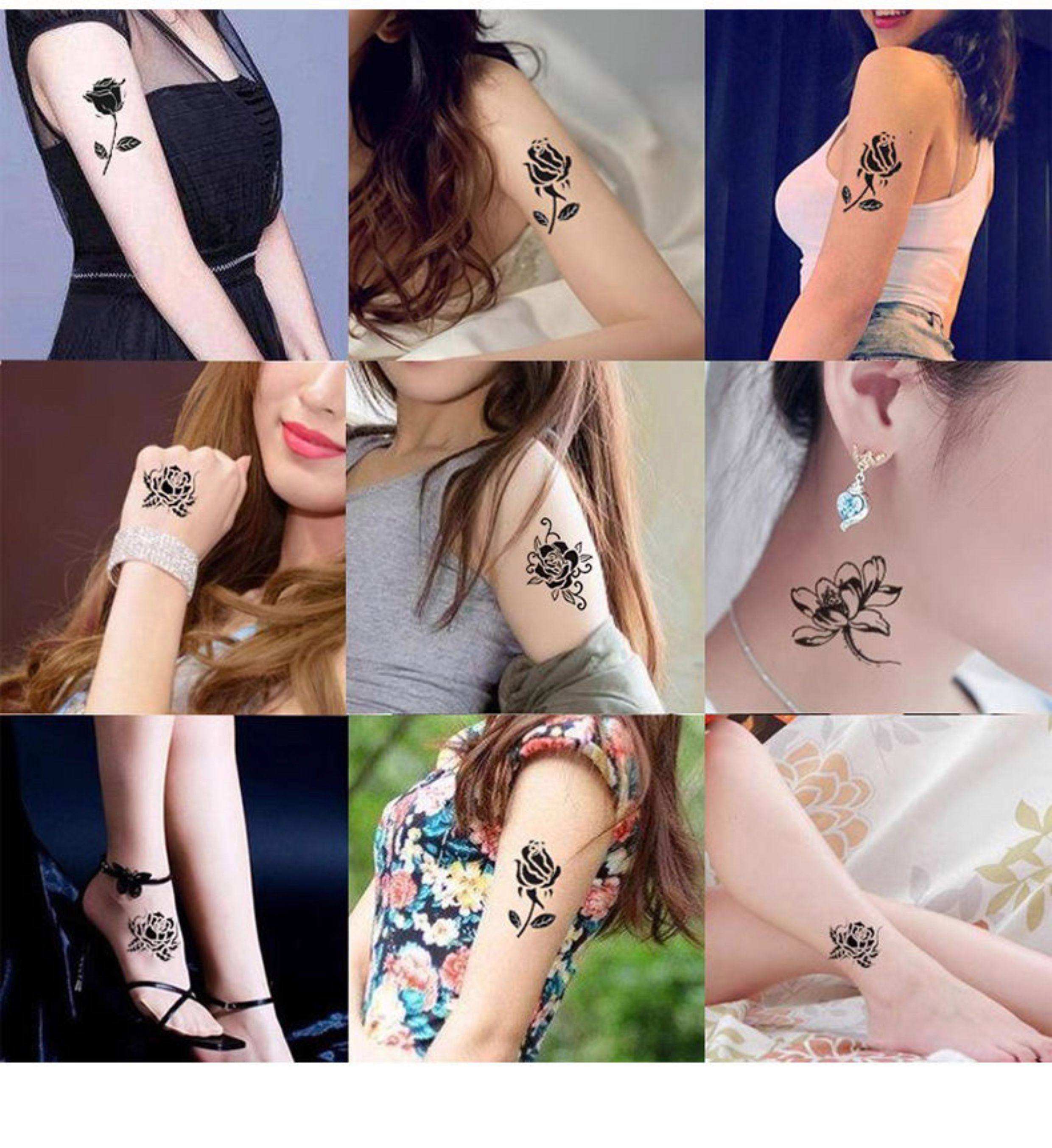 啄木鸟17年 啄木鸟以美国高端申请起家