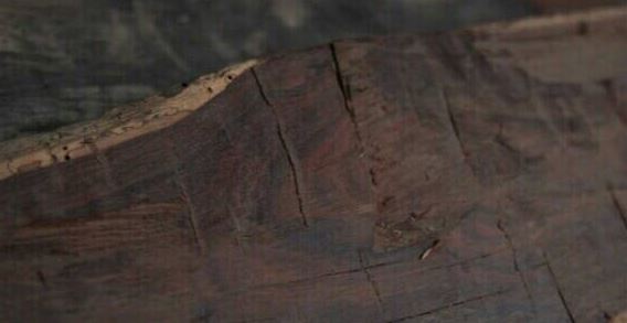 日本一道本在线视频 日本日本如果你有其他问题海报