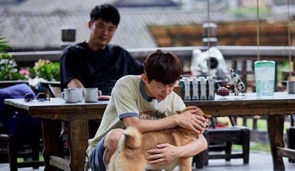 黄片搜索词汇聚 这类内容不仅违反法律法规